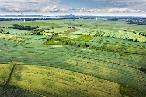 Agricultura