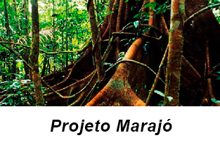 Projeto Marajó