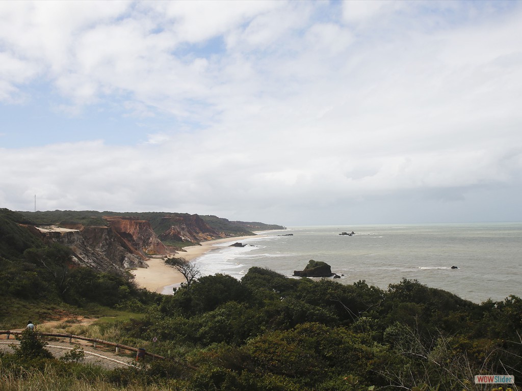 ETECS-Paraíba: Cliffs having Miocene deposits to the south of João Pessoa, Paraíba.