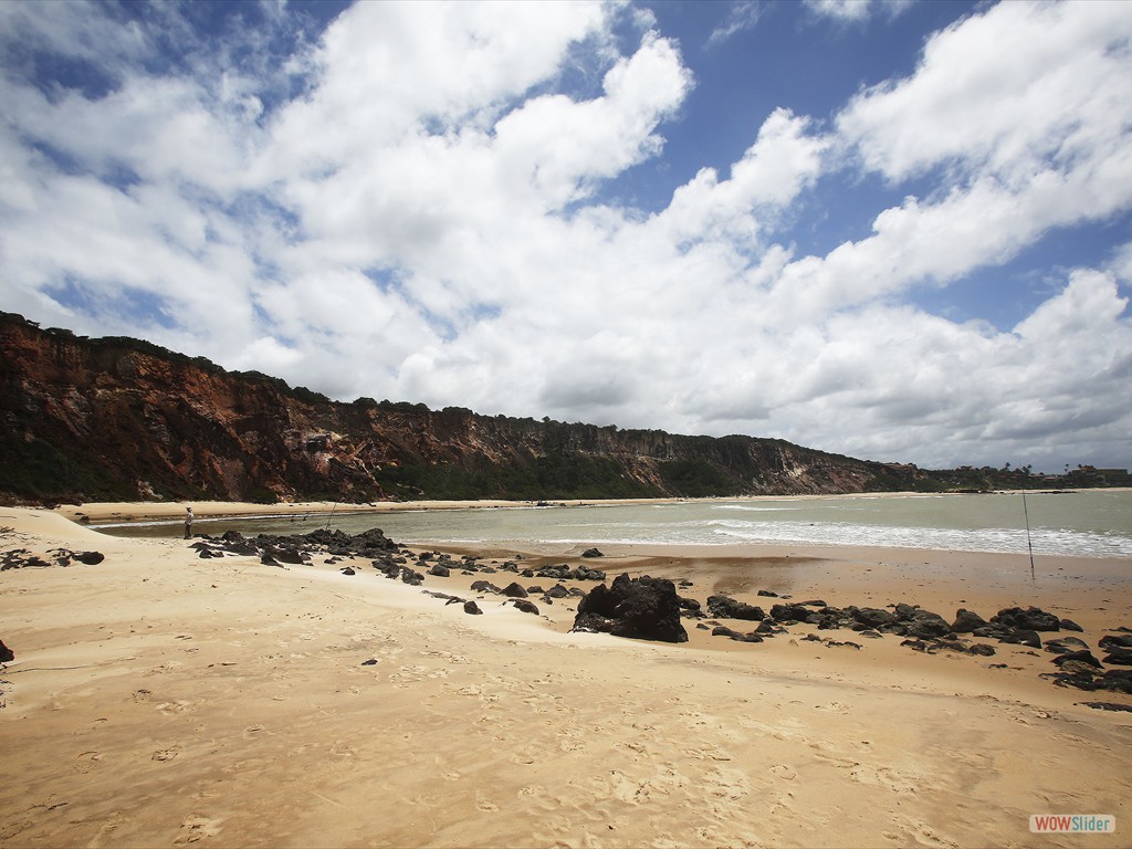 ETECS - Paraba: Landslides caused by earthquake of Pleistocene age in deposits of the Barreiras Formation at the Tabatinga cliff,  Paraba.