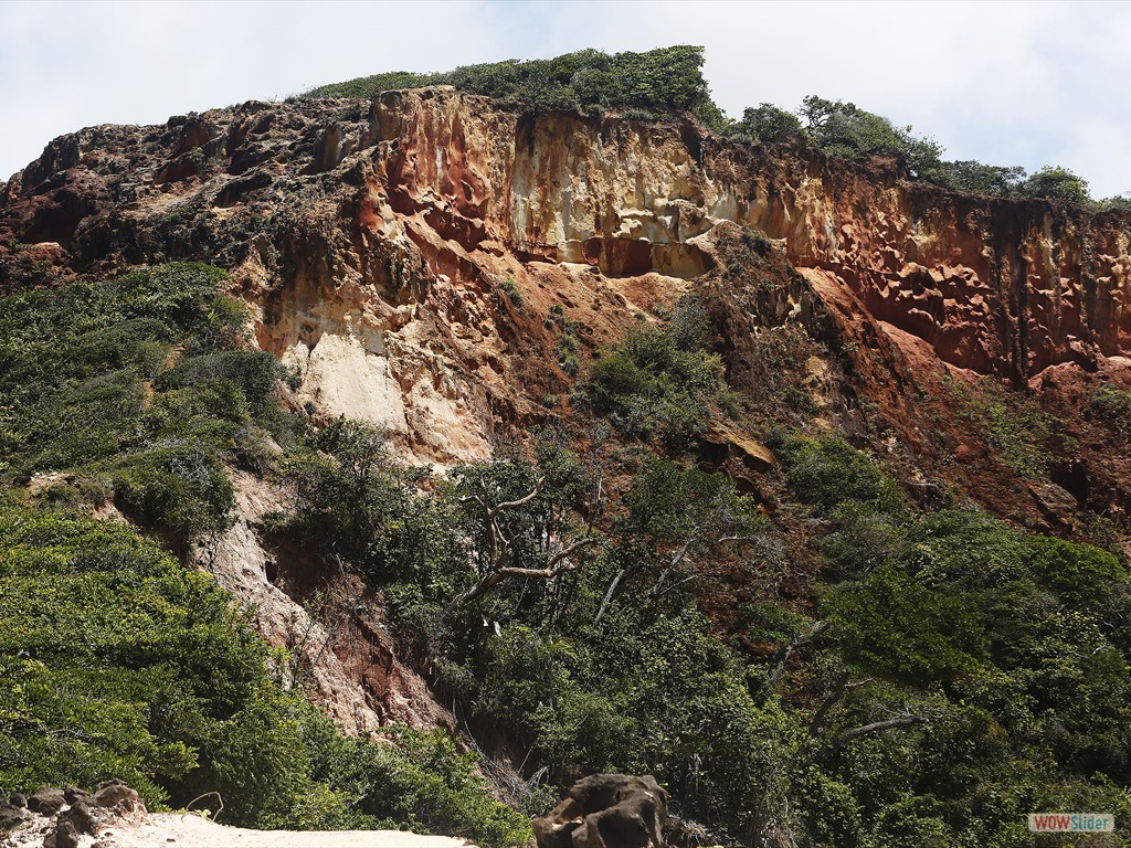 ETECS-Detalhe do sismito pleistocênico no topo da falésia de Tabatinga, Paraíba.