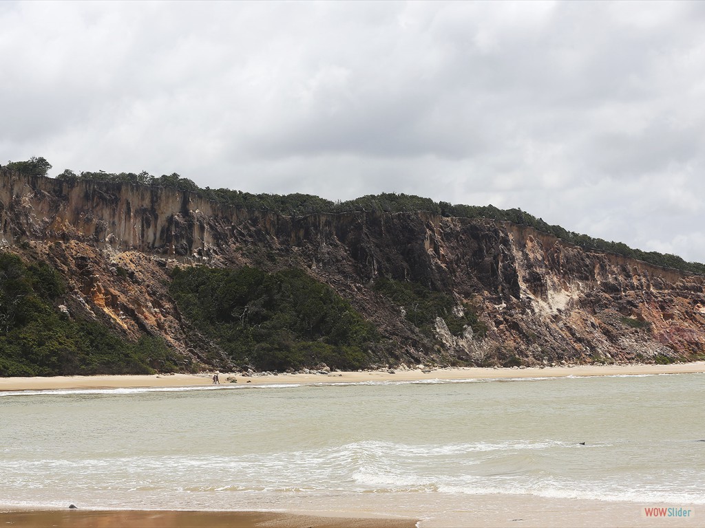 ETECS- Paraba:  Overview of the cliff at the Tabatinga beach, Paraba, where the Barreiras Formation (Miocene deposits) are well exposed.