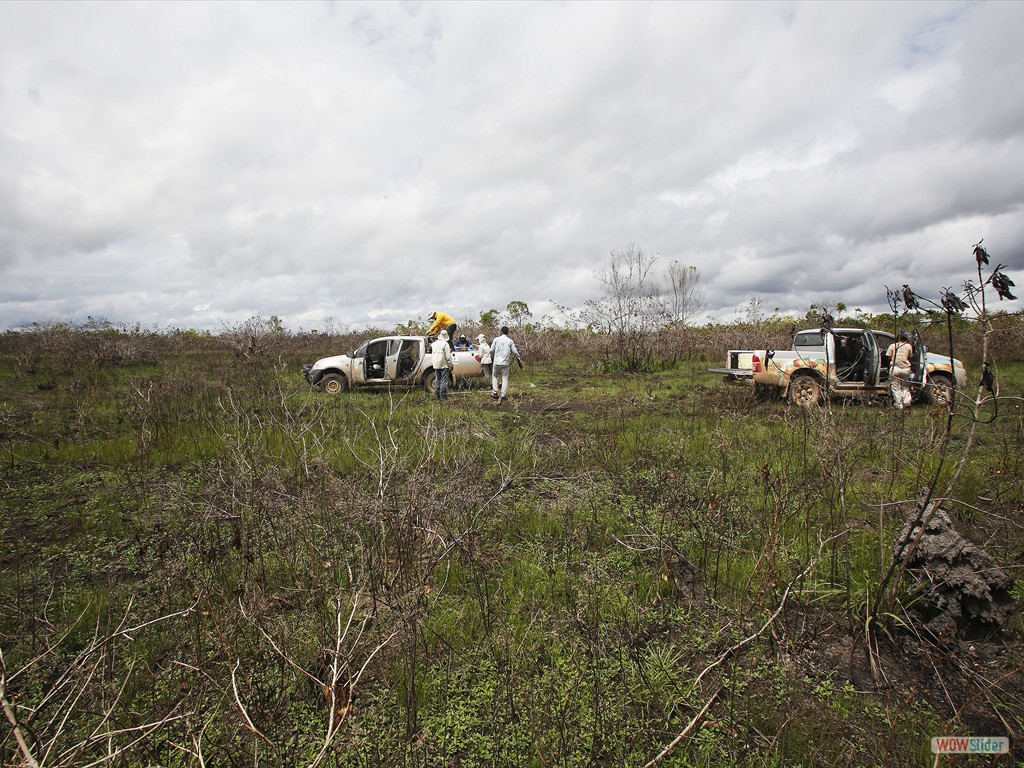 GEOBIAMA-Research activities in open green areas (campinaranas) in Humaita, southern Amazonia.