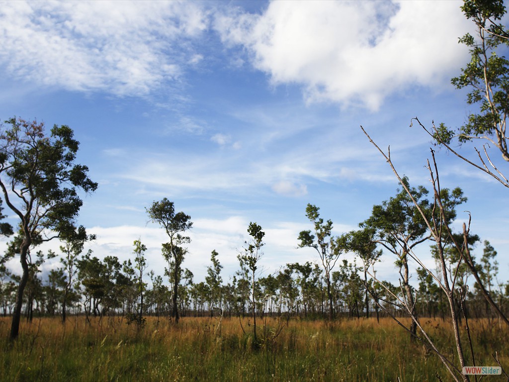 GEOBIAMA-A beautiful sunset of the Humaita savanna, southern Amazonas.