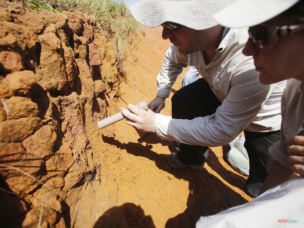 GEOBIAMA-Extraction of samples from the I Formation aiming dating by optically stimulated luminescence, southern Amazonia