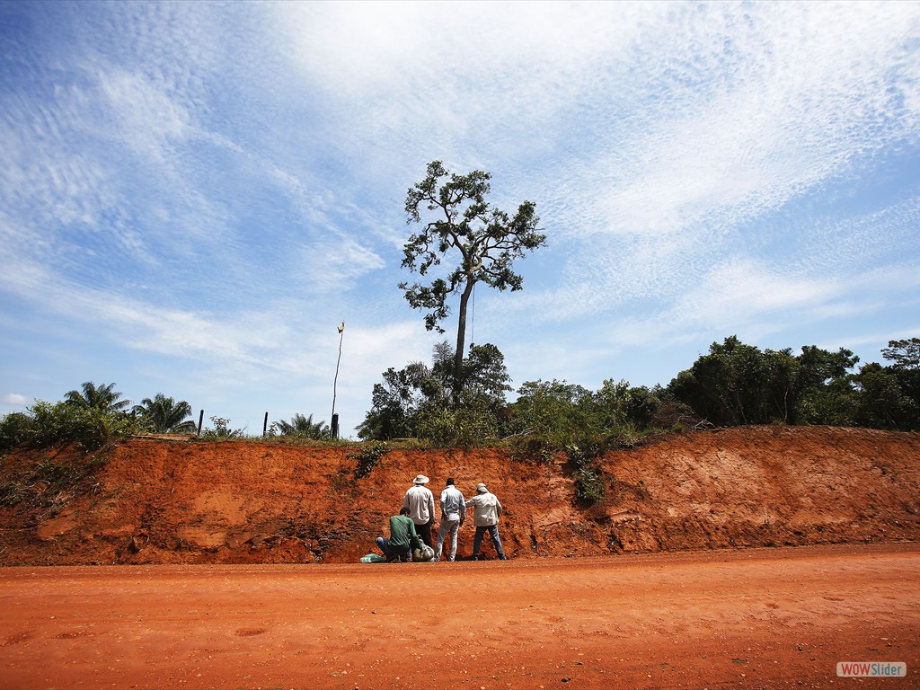 GEOBIAMA-Analysis of a geological section of the Formation I, Transamazon Highway, southern Amazonia.