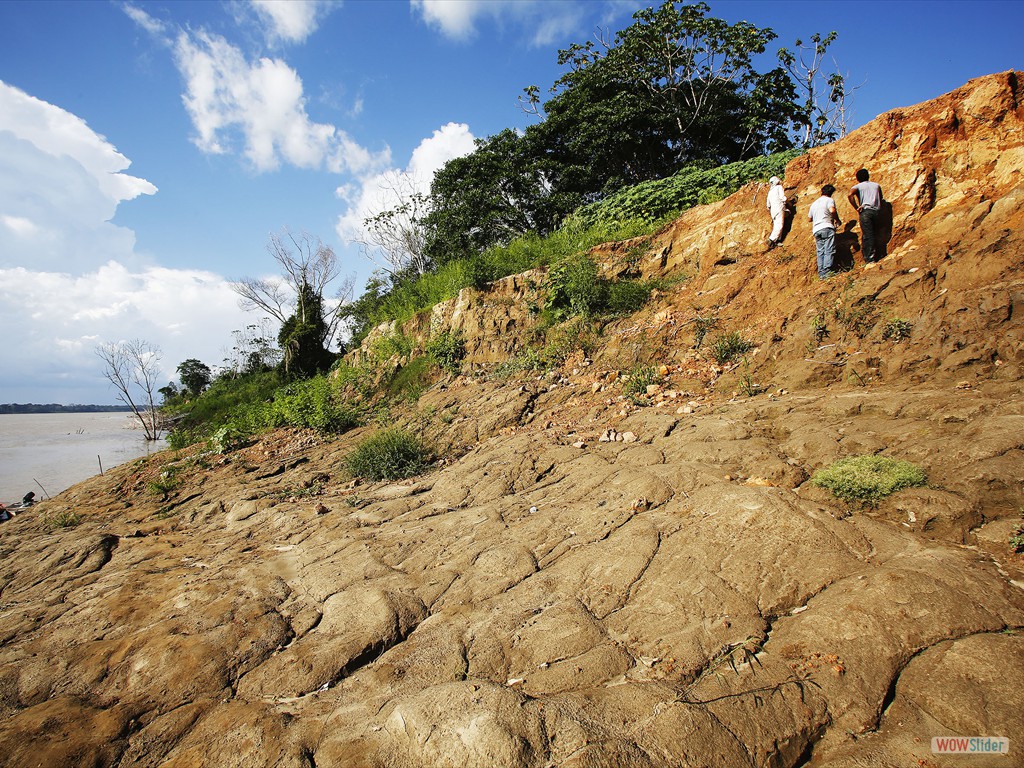 GEOBIAMA-Outcrop with Quaternary deposits along banks of the Madeira River, southern Amazonia.