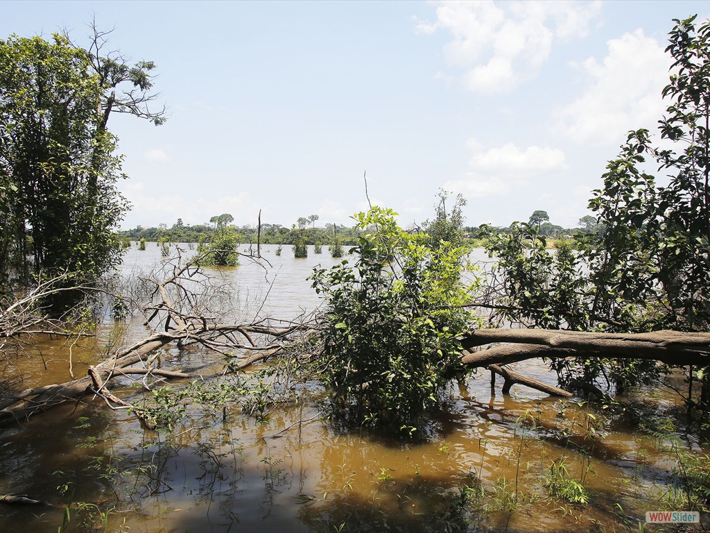 GEOBIAMA-Rias fluviais, registro de antigos rios que foram bloqueados ao longo do tempo, e se transformaram em lagos, sul do Amazonas