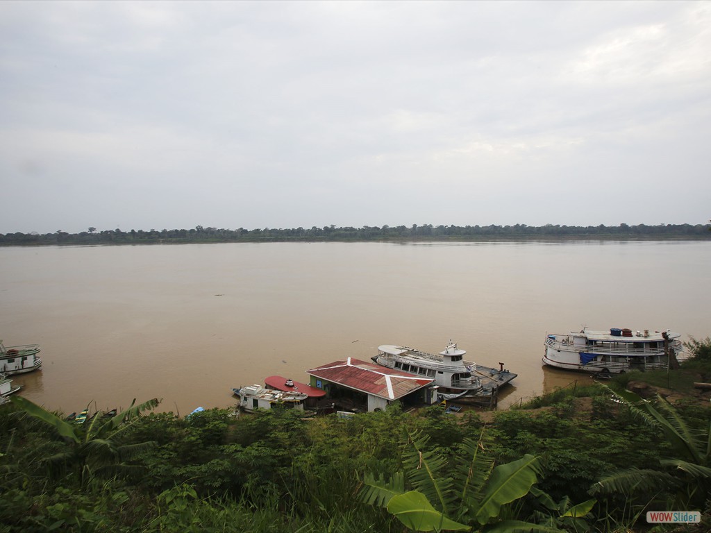 GEOBIAMA- Rio Madeira, sul do Amazonas