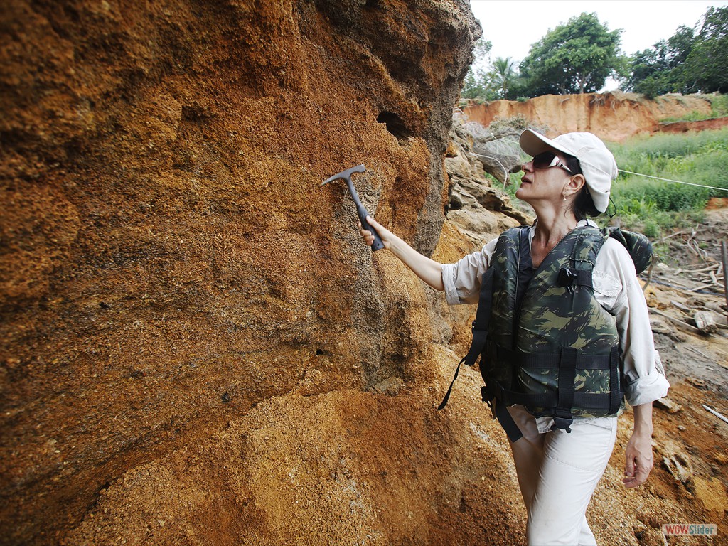 GEOBIAMA-Describing geological profiles along banks of the Madeira River, southern Amazonia.