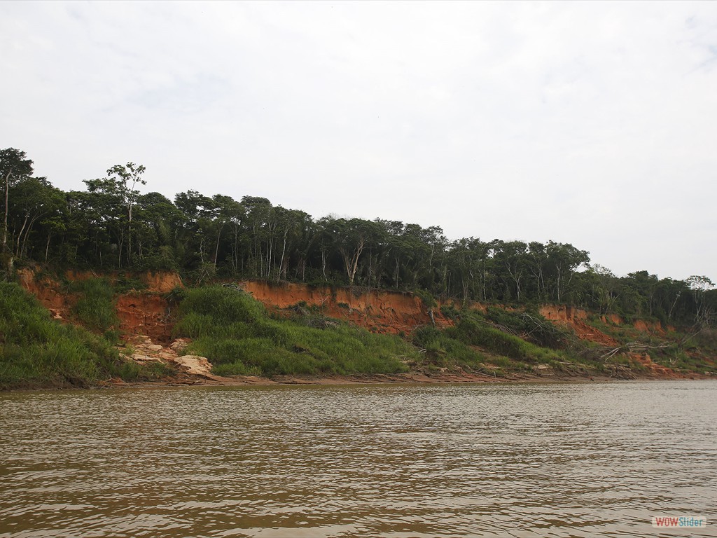 GEOBIAMA- Exposições da Formação Içá em barrancos do rio Madeira, sul do Amazonas.