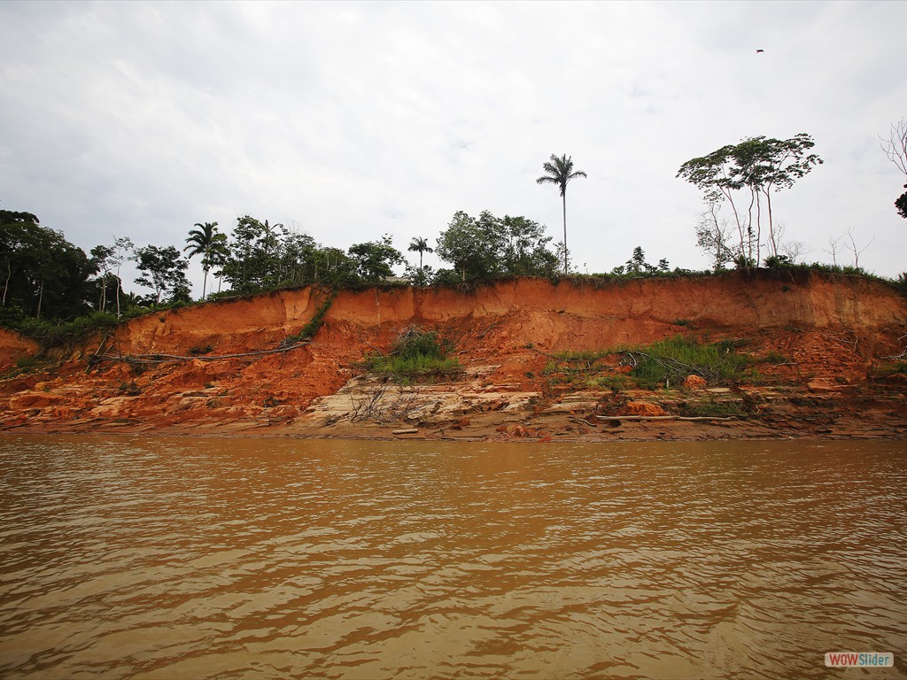 GEOBIAMA- Exposies da Formao I em barrancos do rio Madeira, sul do Amazonas.