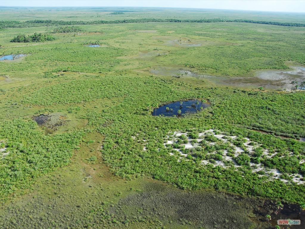 GEOBIAMA- Aerial view of a wetland in process of abandonment and filling-up with sediment in the Viru megafan, Roraima. Photographer: Antonio Iaccovazo