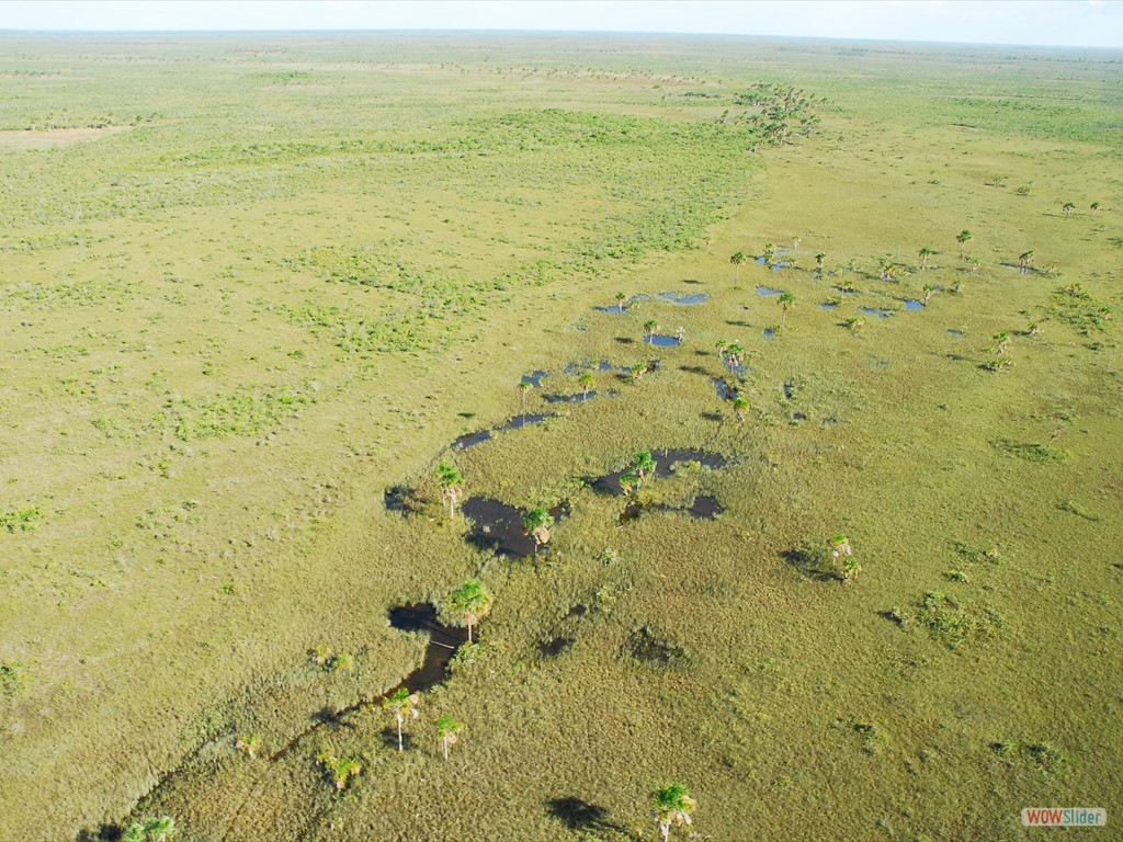 Aerial view of a wetland in process of abandonment and filling-up with sediment in the Viru megafan, Roraima. Photographer: Antonio Iaccovazo