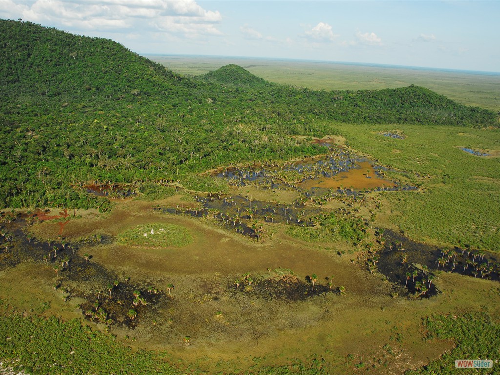 GEOBIAMA- Complexo ambiental complexo de reas alagadas no megaleque Viru, Roraima Fotografo: Antonio Iaccovazo