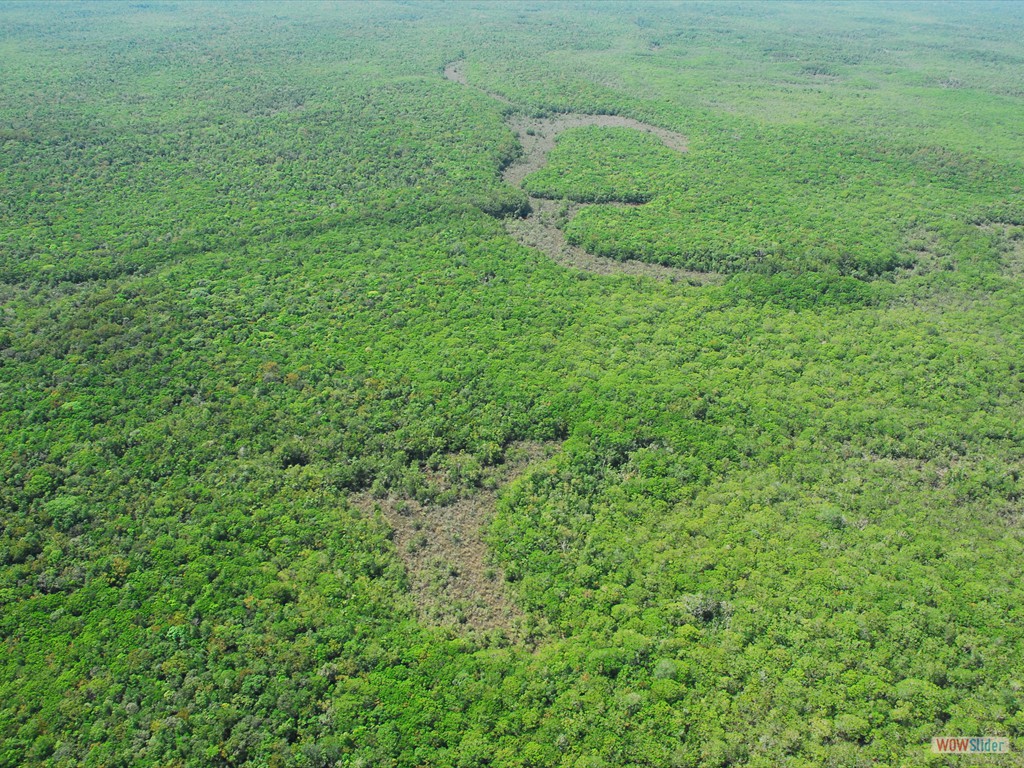 GEOBIAMA- Channels that were abandoned over the landscape and are now in the process of colonization by grassland and shrubland campinaranas intermingled with forested campinarana in the megafan Viruá, Roraima. Photographer: Antonio Iaccovazo