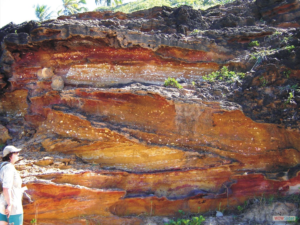 Project ETECS  Rocks of Miocene age (Barreiras Formation) with sedimentary structures indicative of genesis by action of tidal currents in a marginal marine environment, Paraba Basin, northeastern Brazil.