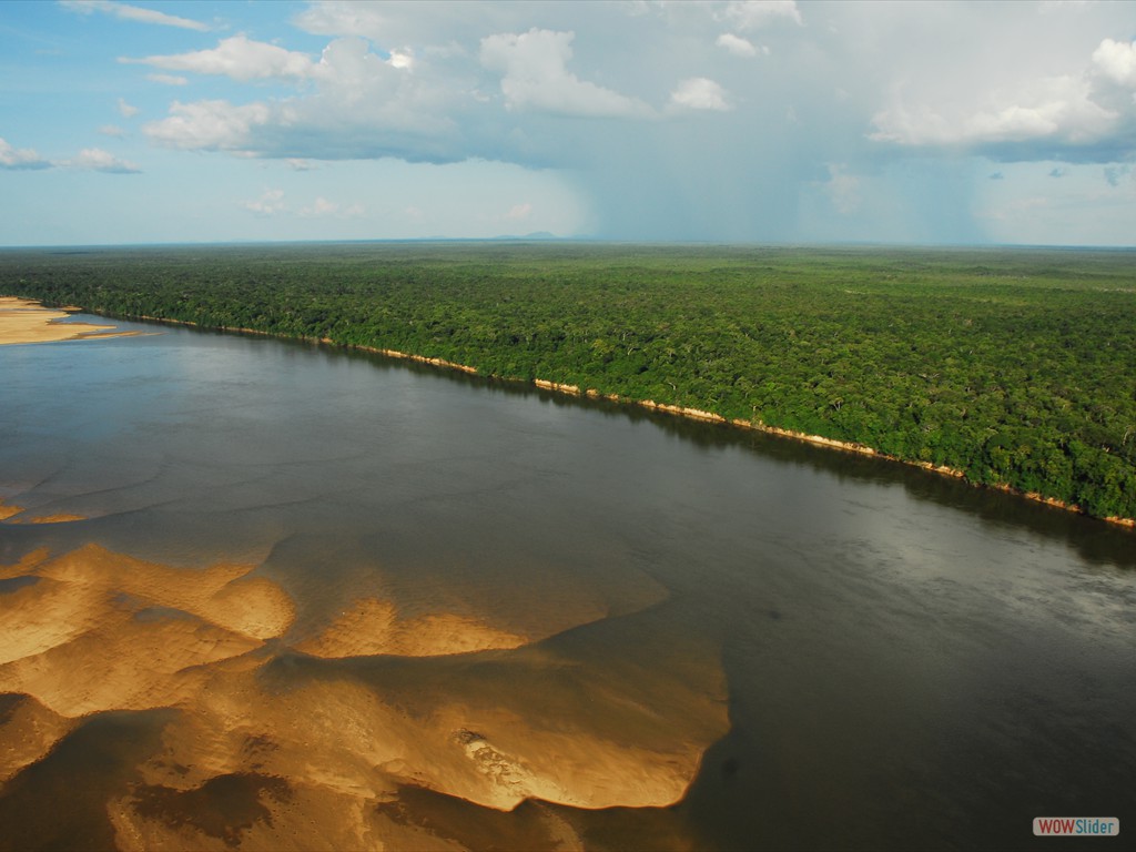 GEOBIAMA  Vista area de barras arenosas do rio Branco, Roraima.