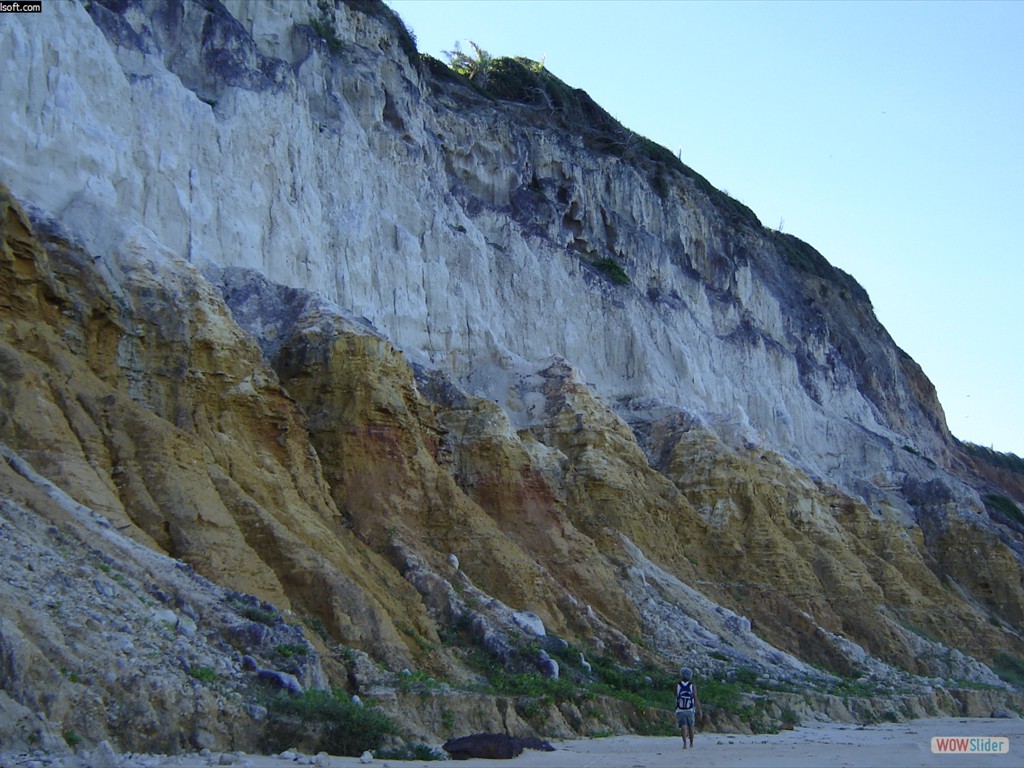 ETECS  Geological exposure of Miocene rocks (Barreiras Formation), overlain by seismites of Late Pleistocene age, Paraba Basin, northeastern Brazil.