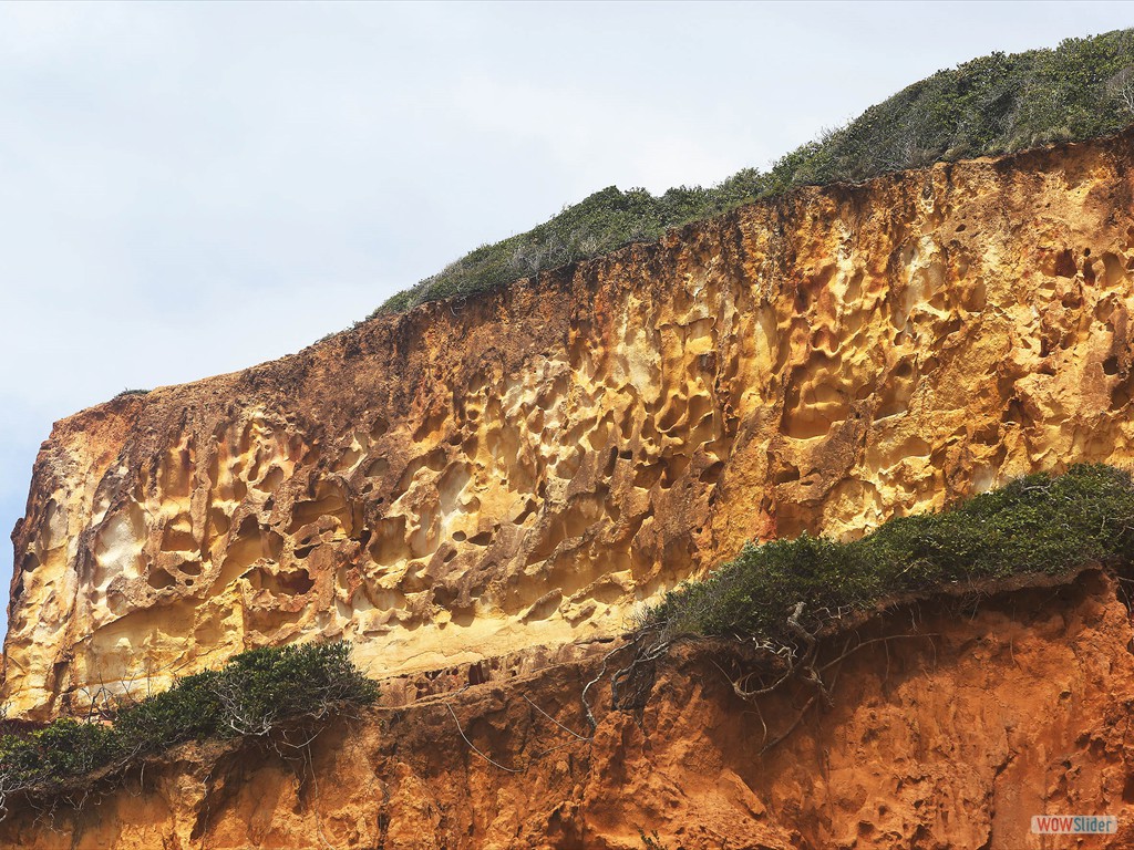 ETECS  Detail of a Late Pliestocene seismite, Paraba Basin, northeastern Brazil.