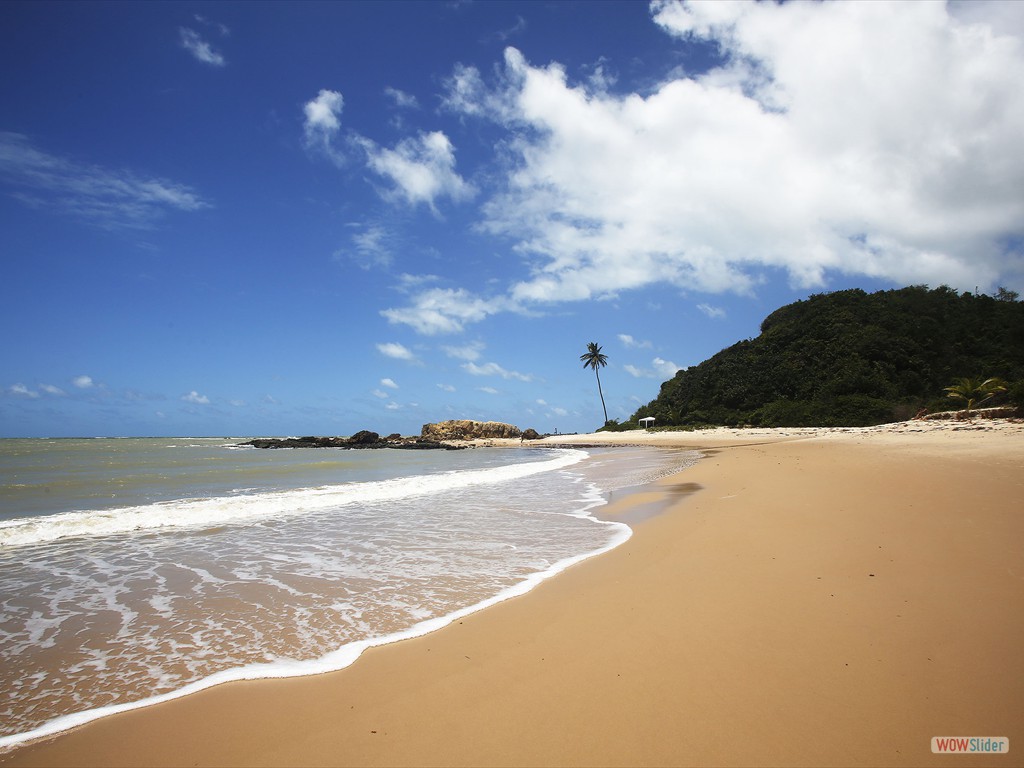 ETECS-Vista da praia de Tabatinga, com rochas carbonáticas cretáceas ao fundo, em discordância com a Formação Barreiras (morro vegetado), Paraíba.
