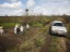 GEOBIAMA- Project Field research in open green area (campinaranas) in Humaita, south of the Amazon.