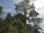 GEOBIAMA-Floresta densa do entorno de áreas de savana em Humaitá, sul do Amazonas.