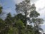 GEOBIAMA- Dense forest surrounding savanna areas in Humait, southern Amazonia.