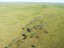 Aerial view of a wetland in process of abandonment and filling-up with sediment in the Viru megafan, Roraima. Photographer: Antonio Iaccovazo