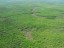 GEOBIAMA- Canais abandonados e colonizados por campinarana graminosa e arbustiva em meio a campinarana florestada no megaleque  Viruá, Roraima. Fotografo: Antonio Iaccovazo