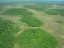 GEOBIAMA- Mosaico vegetacional, com contato brusco entre áreas de campinara graminosa/arbustiva com campinara florestada sobre megaleque Viruá, Roraima. Fotografo: Antonio Iaccovazo