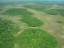 GEOBIAMA- Vegetation mosaic, with sharp contact between areas of grassland/shrubland campinaras with forested campinarana in the megafan Viru, Roraima.