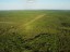 GEOBIAMA- Canal abandonado e colonizado por campinara graminosa/arbustiva e raros buritizais em contato brusco com vegetao floresta sobre o megaleque Viru, Roraima. Fotografo: Antonio Iaccovazo